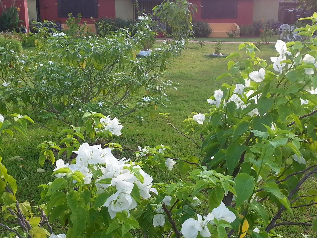 Golden Lilies Hotel Kokrobite Ngoại thất bức ảnh